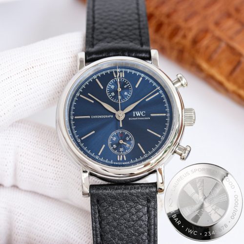 IW watch