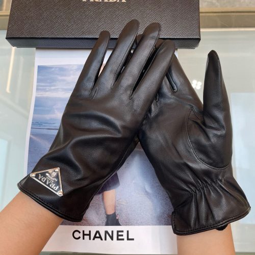 PA gloves